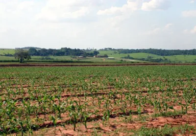 Foto da fazenda 2