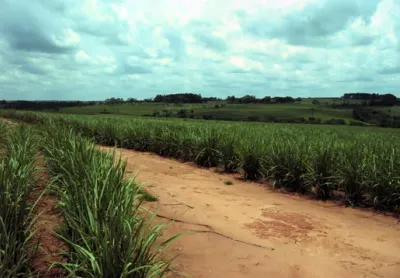 Foto da fazenda 4