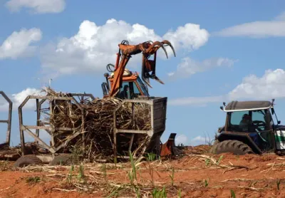 Foto da fazenda 5