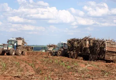Foto da fazenda 6
