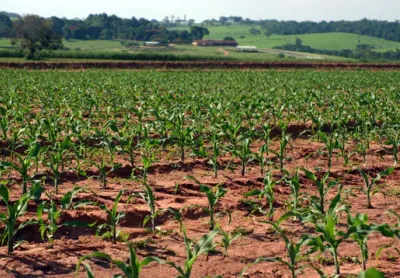 Foto da fazenda 8