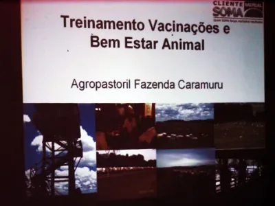 Trabalho — Curso Merial