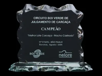 Prêmios — Premio Campeao Circuito Boi Verde De Julgamento De Carcacas Melhor Lote Carcaca Macho Castrado Barretos 2004