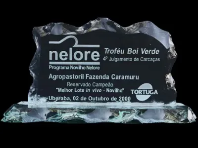 Prêmios — Premio Nelore Quarto Julgammento De Carcacas Trofeu Boi Verde Melhor Lote In Vivo Novilho Uberaba 2000