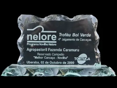 Prêmios — Trofeu Boi Verde Quarto Julgamento De Carcaca Campeao Melho Carcaca Novilho Uberaba